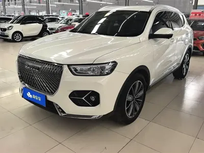 Haval H6 · 2020 год