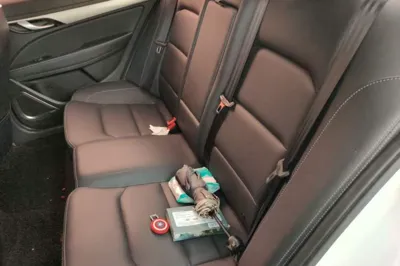 Geely Auto Emgrand 2018, 30400 км, за 35596.28 CNY - фото 14