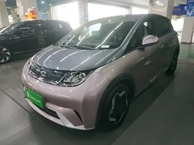 BYD Dolphin · 2021 год