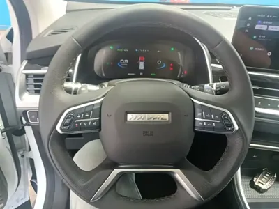 Haval H6 2023, 28400 км, за 64300 CNY - фото 11
