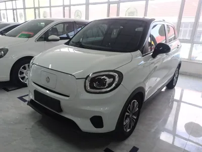Leapmotor T03 2020, 88100 км, за 47802.53 CNY - фото 1
