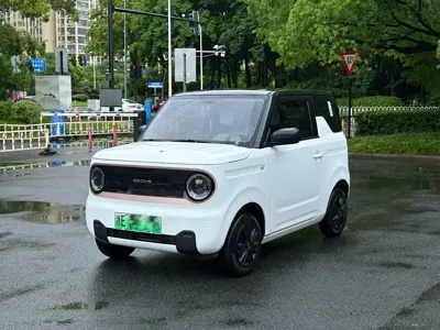 Galaxy Panda · 2024 год