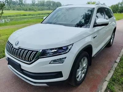Skoda Kodiaq · 2021 год