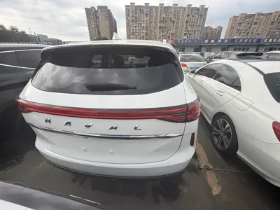 Haval H6 2020, 38000 км, за 41200 CNY - фото 15