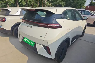 BYD Seagull 2025, 100 км, за 71157.73 CNY - фото 6