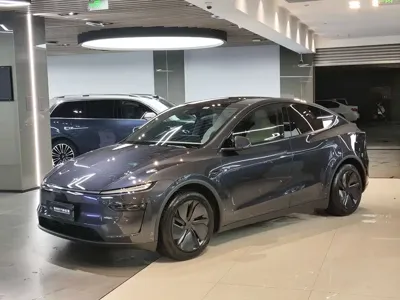 Tesla Model Y L · 2025 год