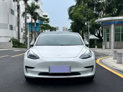 Tesla Model 3 2021, 99000 км, за 109800 CNY