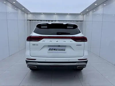 Haval H6 2023, 48000 км, за 69800 CNY - фото 6