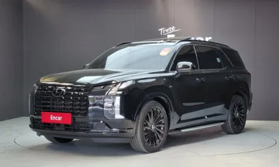 Hyundai Palisade · 2024 год