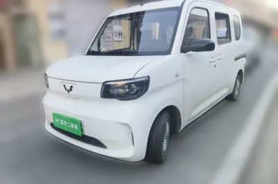 Wuling Zhiguang New Energy · 2025 год