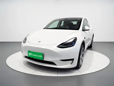 Tesla Model Y · 2023 год