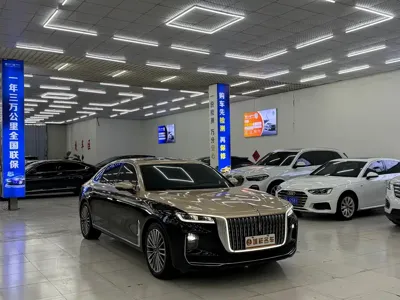 Hongqi Hongqi H9 · 2022 год