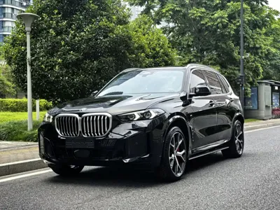 BMW X5 · 2024 год