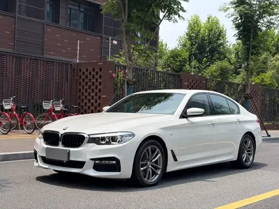 BMW 5 Series (Import) · 2019 год