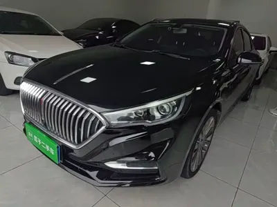 Hongqi Hongqi H5 · 2021 год