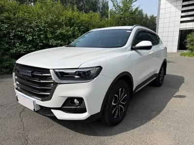 Haval H6 · 2022 год