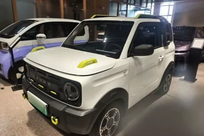 Geely Galaxy Panda · 2024 год