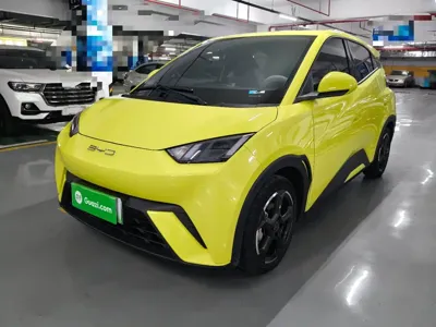 BYD Seagull · 2023 год