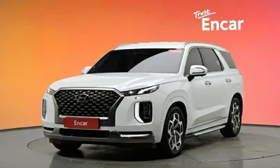 Hyundai Palisade · 2022 год