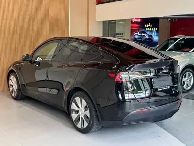 Tesla Model Y 2023, 60000 км, за 163800 CNY - фото 19