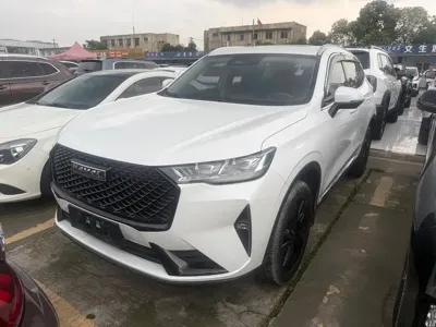 Haval H6 2020, 38000 км, за 41200 CNY - фото 1