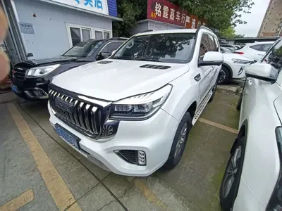 Haval H9 · 2023 год