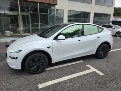 Tesla Model Y · 2025 год