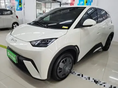 BYD Seagull · 2025 год