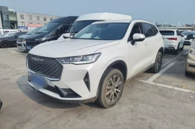 Haval H6 · 2021 год