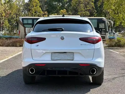 Alfa Romeo Stelvio 2018, 80000 км, за 69800 CNY - фото 8