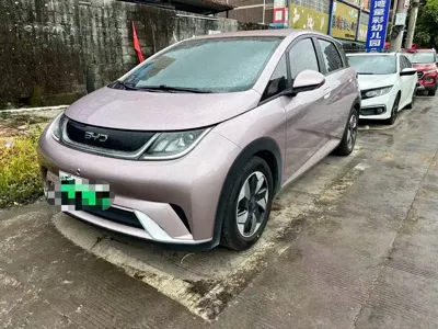 BYD Dolphin · 2024 год