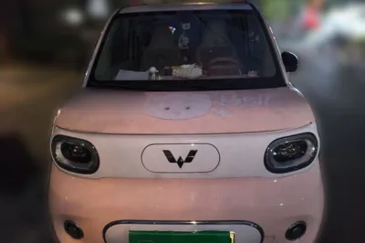 Wuling Hongguang MINIEV 2024, 11500 км, за 38537.69 CNY