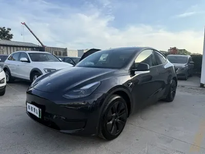 Tesla Model Y · 2024 год