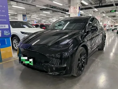Tesla Model Y · 2021 год