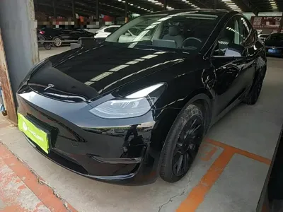 Tesla Model Y · 2021 год