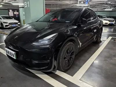 Tesla Model Y · 2024 год