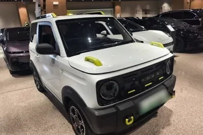 Geely Galaxy Panda 2024, 13800 км, за 42711.64 CNY