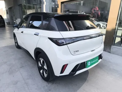 BYD Dolphin 2025, 16400 км, за 78816.18 CNY