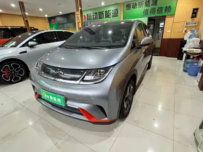 BYD Dolphin · 2022 год