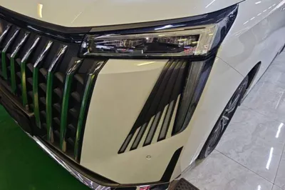 GAC Trumpchi M8 2024, 24200 км, за 167277.63 CNY - фото 8