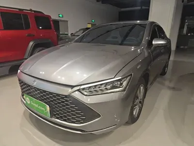 BYD Qin Plus · 2024 год