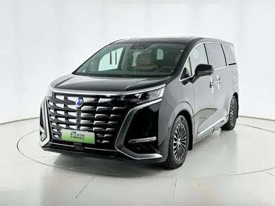 Denza Denza D9 · 2023 год