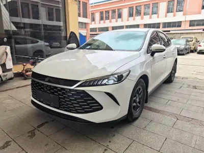 BYD Qin Plus · 2025 год