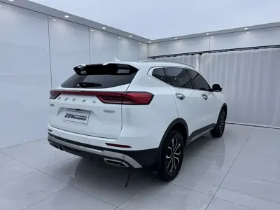 Haval H6 2023, 48000 км, за 69800 CNY