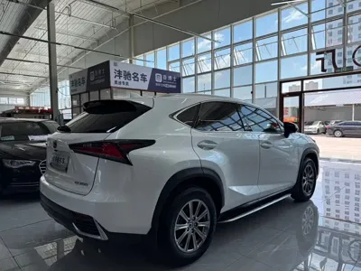 Lexus NX 2021, 52000 км, за 205500 CNY - фото 9