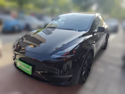 Tesla Model Y · 2021 год