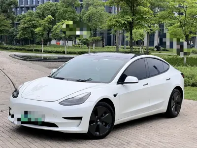 Tesla Model 3 · 2021 год
