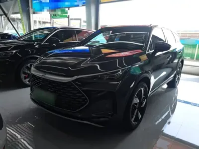 BYD Tang New Energy · 2024 год