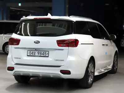Kia Canival 2019, 63228 км, за 20900000 KRW