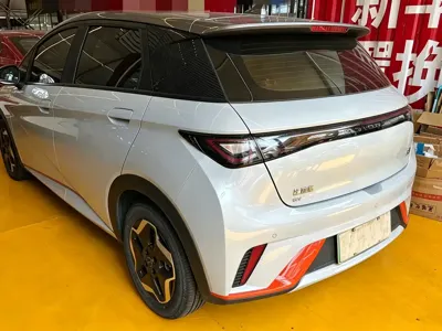 BYD Dolphin 2022, 90000 км, за 53800 CNY - фото 6